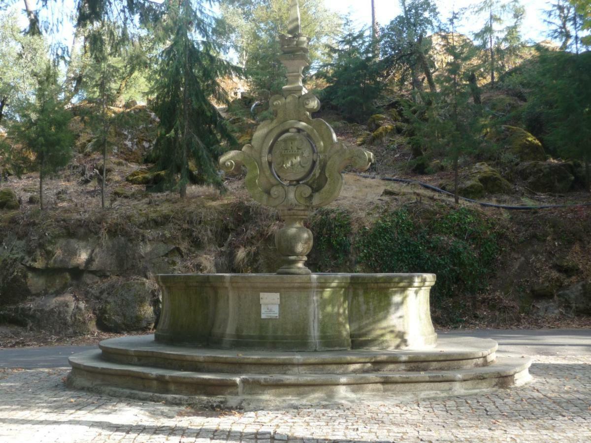 Refugio Da Vila - Refuge Of The Village Vouzela Exterior photo